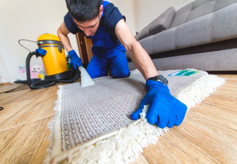 Carpet cleaning services in Balham