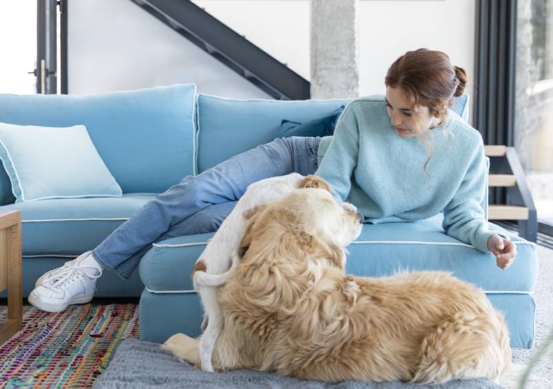 How to maintain cleanliness in home with pets?