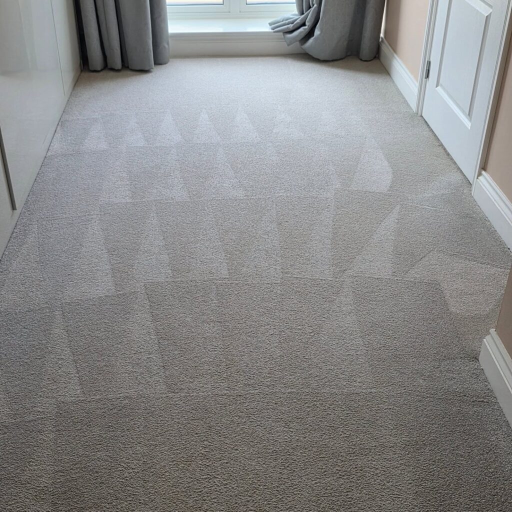 530125828_17954776841991164_2529285318551226759_n