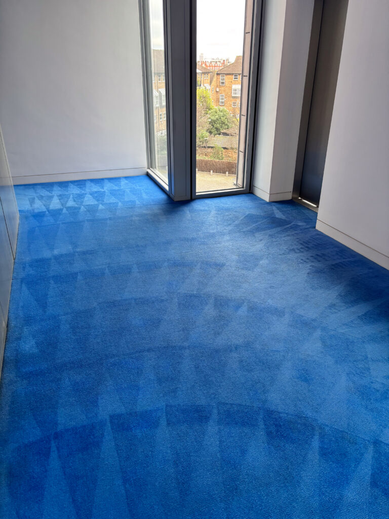 20250107_115024_IMG_8958