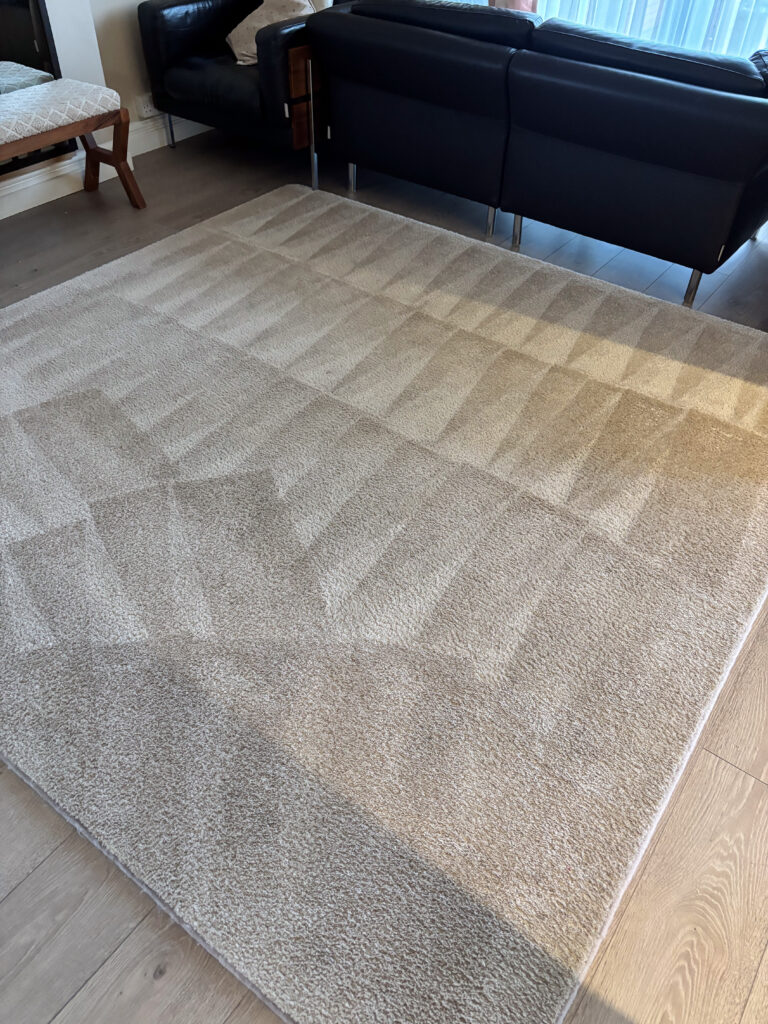 20250116_110315_IMG_9041