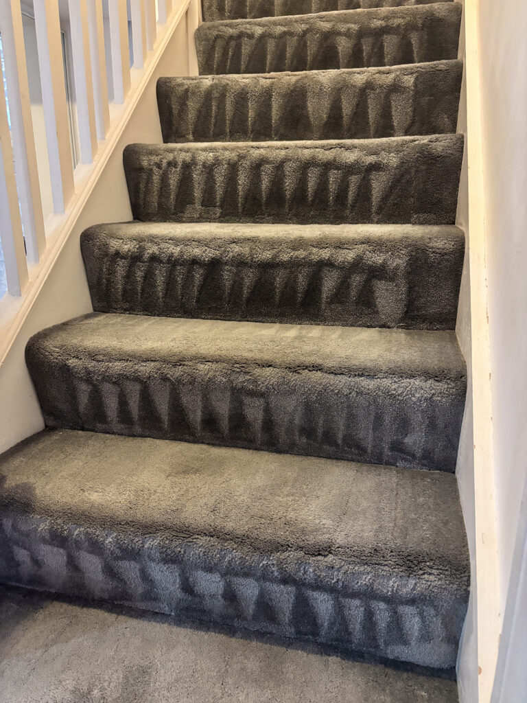 20250128_133800_IMG_9183