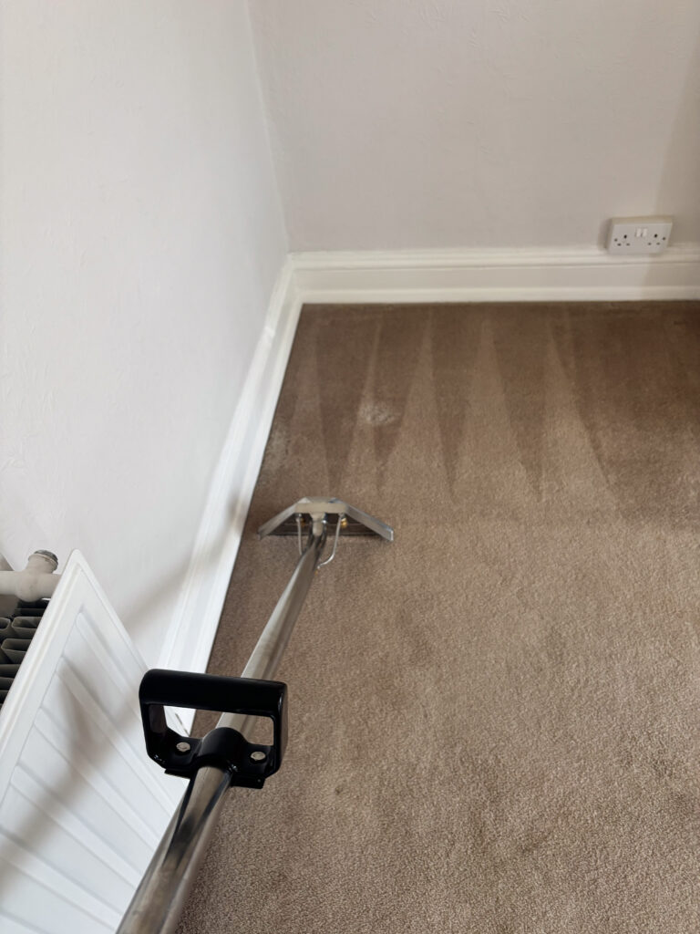 20250526_120419_IMG_0751