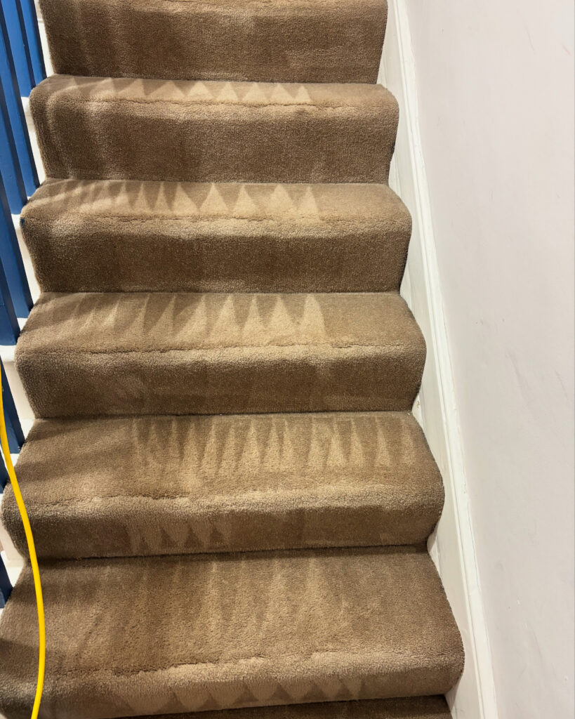 20250526_133649_A8A65B58-A975-4083-AFF6-C184155C064B