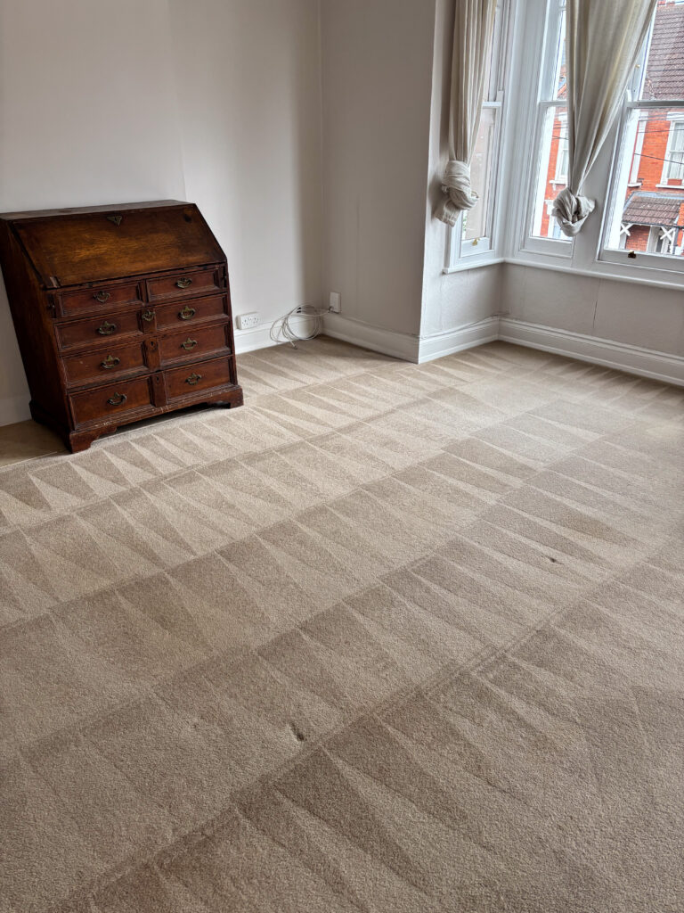 20250526_133739_IMG_0760