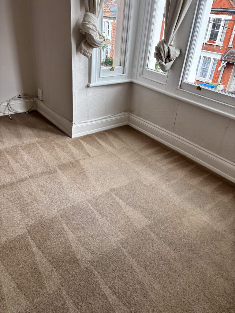 20250526_133752_IMG_0761