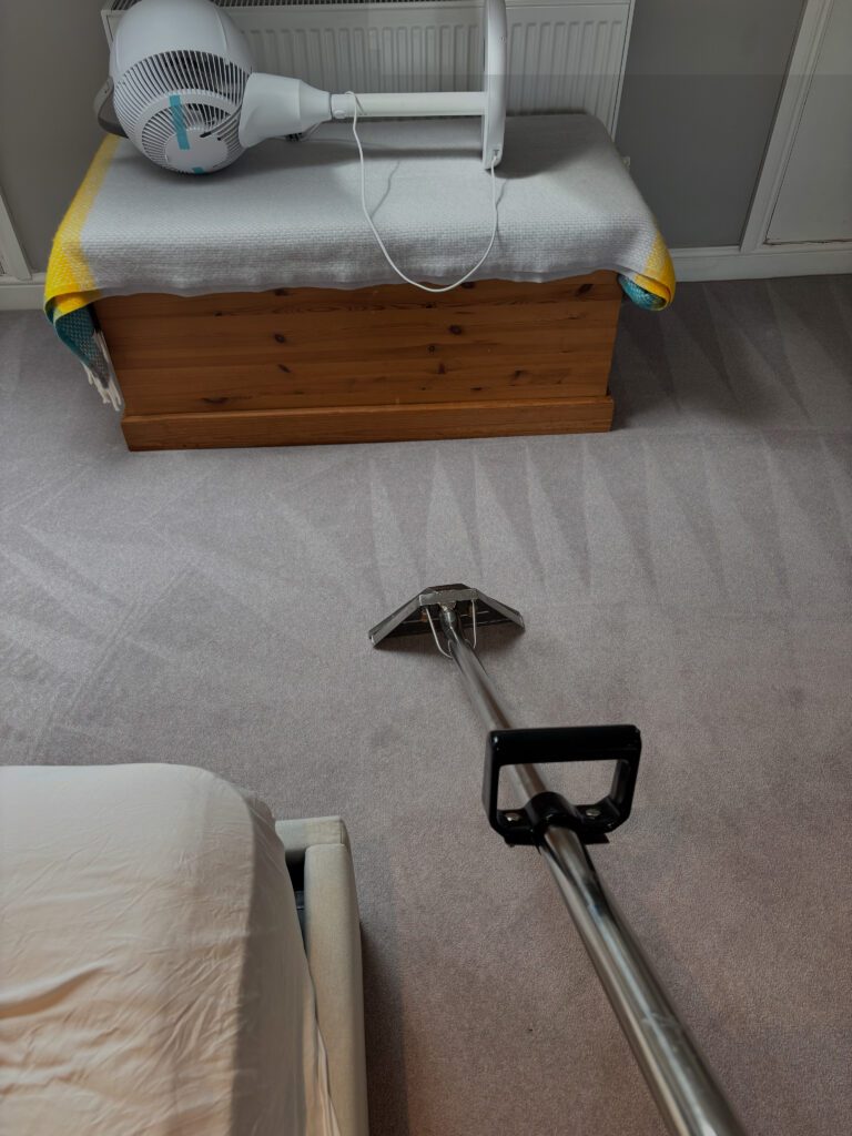 20250528_143939_C56B8BE2-F4B7-462F-9440-BD6764E9CC38