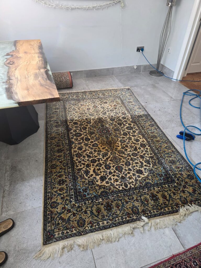 Rug cleaning service